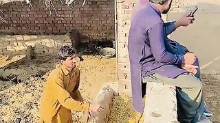 funny Video golpri