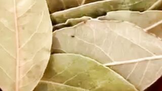 Amezing facts Video Hindi