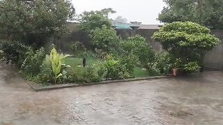 Rainy day ☔
