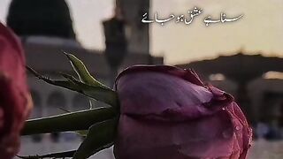 Beatiful naaaat