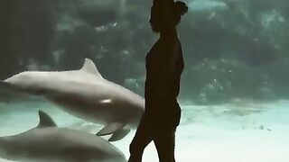 Whales Dance