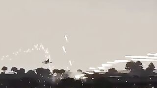 Pakistani pilot skill show in India