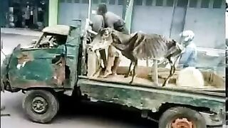 ارحبو واشتركو