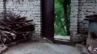 Shok suspence horror short thillar