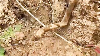 Fun Video