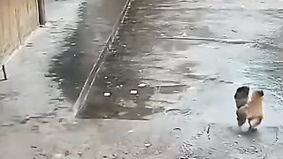 Fun video