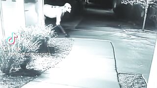 Horror journy night virsion scacne