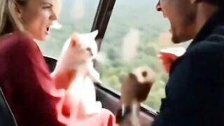 Ai Video