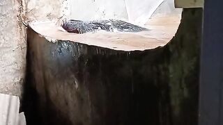 Lucu kelakuan warga +62 mau bacok gak jadi karena liat babi nya besar