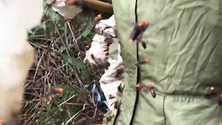 সব থেকে পুরু একটা কাপড়ের সুট