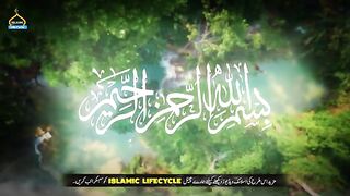 Hazrat Fatima Ki Ruksati Ka Qissa | Seerat Un Nabi Part-49 | Islamic LifeCycle