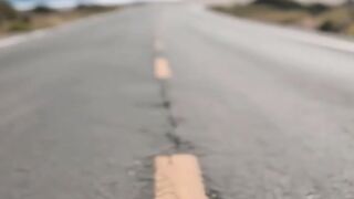 a brave cat resque a tortoise