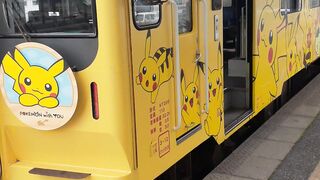 Pokemon Train