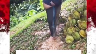 asal muasal terbentuknya jalan setapak ????