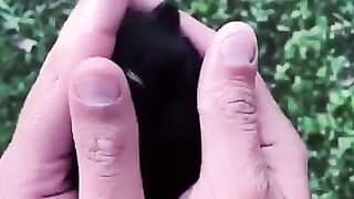 dog trasfrom