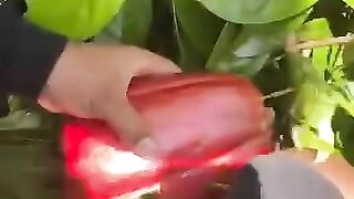 Fruit Cutting Art | Plum Peel & Cut