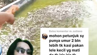PEMULA❗Jangan lakukan hal KONYOL ini
