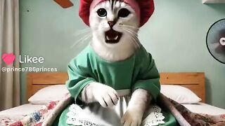 Fun, comedy ,new world,