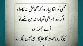 islamic knowledge #arabculture #quotes #hazratali #bestquotes #islamiceducation #love