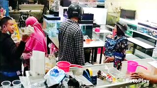 Aktifitas di toko ikan hias