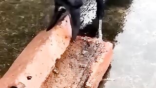 Beautiful sounds