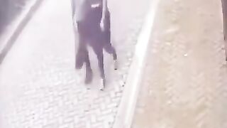 Most dangerous moment in the world
