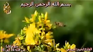 سورة ق _ تلاوة تبكي الصخر _ بصوت القارئ حيدر البزوني