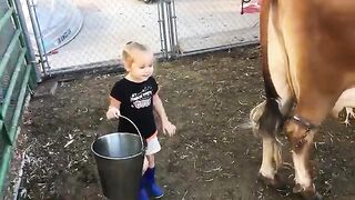 Baby & Cow