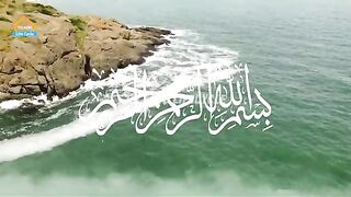 Sahabi aur Gadhe Ka Waqiya | Islamic Stories | Islamic LifeCycle