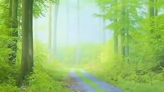 Beautiful view of nature 109
