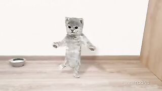 Two dancing cats