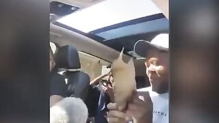 That pup wasn’t playing about that biscuit ????