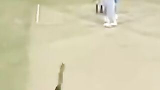 Shoaib Akhtar On Fire
