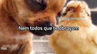 motivaçaodiaria
