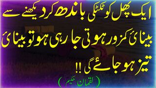 Best urdu quotes|quotes