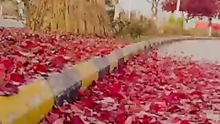 Natural Beauty , Subscribed my channel