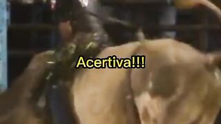 motivaçaodiaria