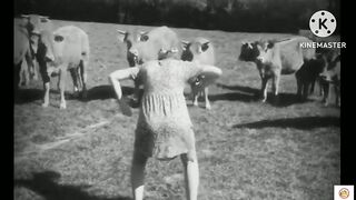 Very very funny clips