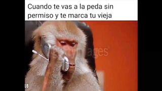 #mexicanmemes Funny Mexican Meme Videos (TRY NOT TO LAUGH) #8 -SOCCERNATION-