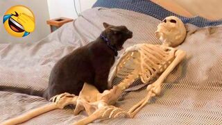 You laugh, You lose ? Funniest Animals ? Part 12