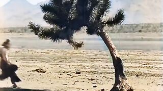 Amazing video
