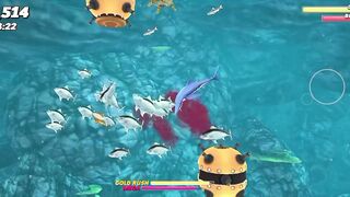 Shark ????
