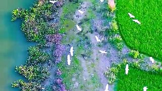 এ যেন কল্পনা চেও সুন্দর #Shorts