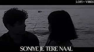 Soni he jo tara nal