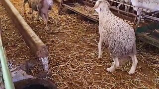 اصعب موقف تقدر طيح فيه