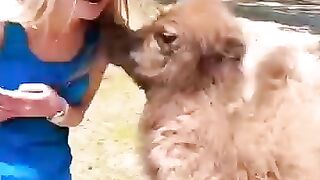 Naughty animals steeling hearrt