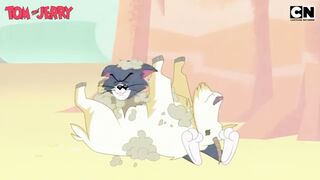 Tom and Jerry | Jerry the Troublemaker | Cartoon for Kids | Only on Cartoon Network India
