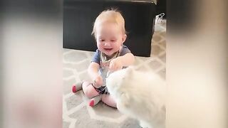 Babies Playing With Dogs And Cats