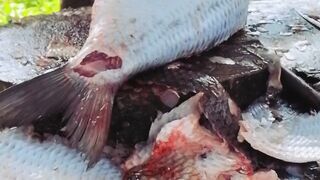 utting a Giant Catfish into Perfect Pieces | Fish Cleaning Short