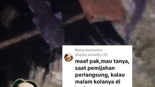 Pada saat proses pemijahan lele area kolam dikasih TERANG atau GELAP
